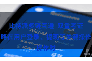 比特派多链互通  双重考证省略在用户登录、提现等关键操作时